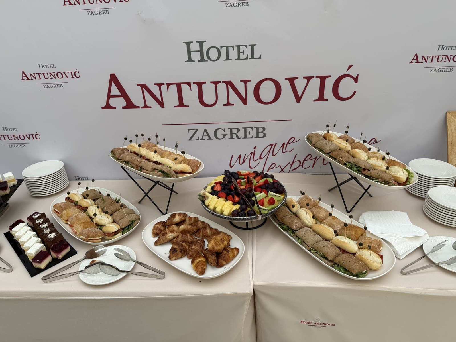 Zakuska za sudionike u pauzi radionice