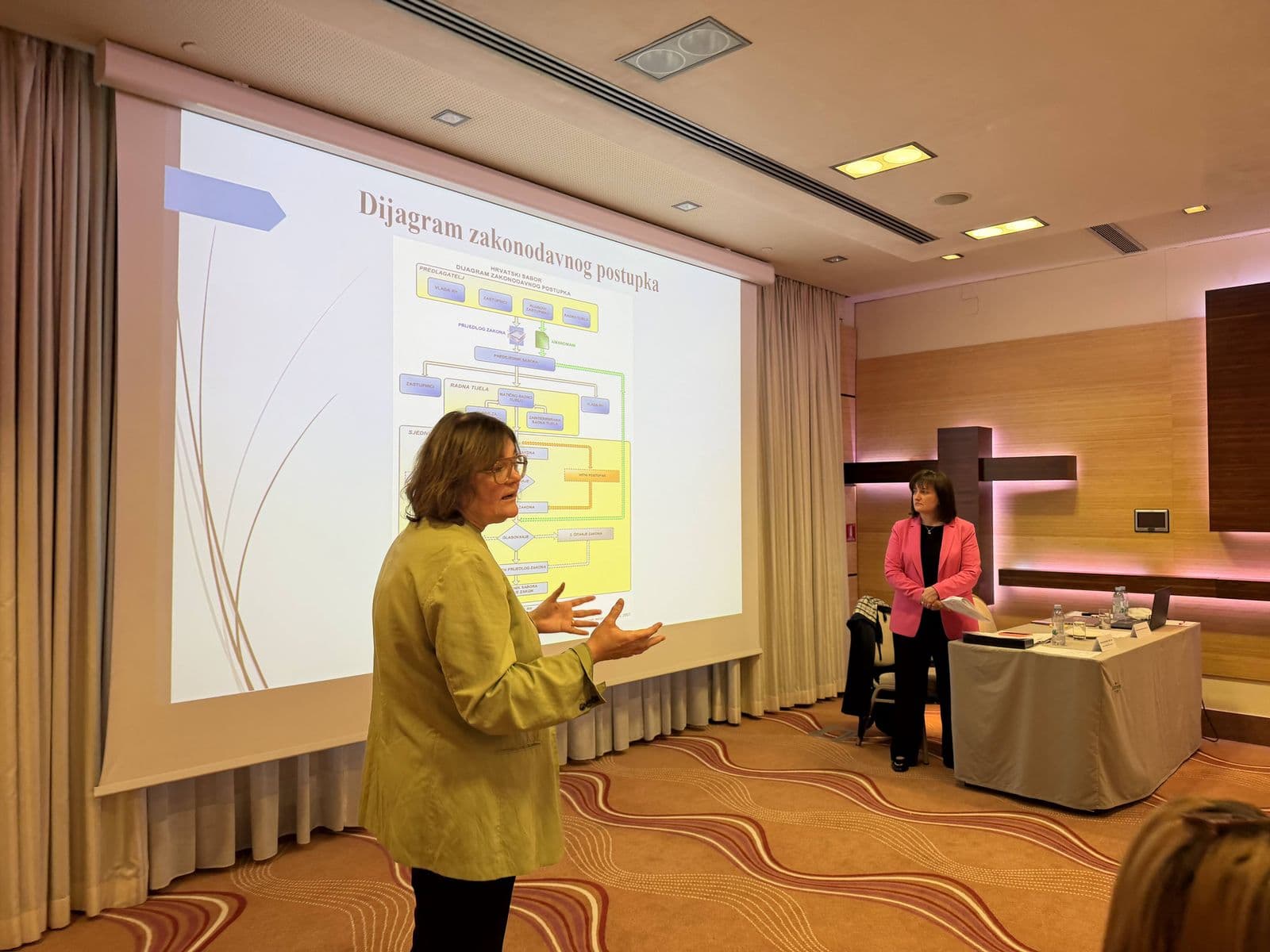 Aleksandra Jozić-Ileković objašnjava dijagram zakonodavnog postupka